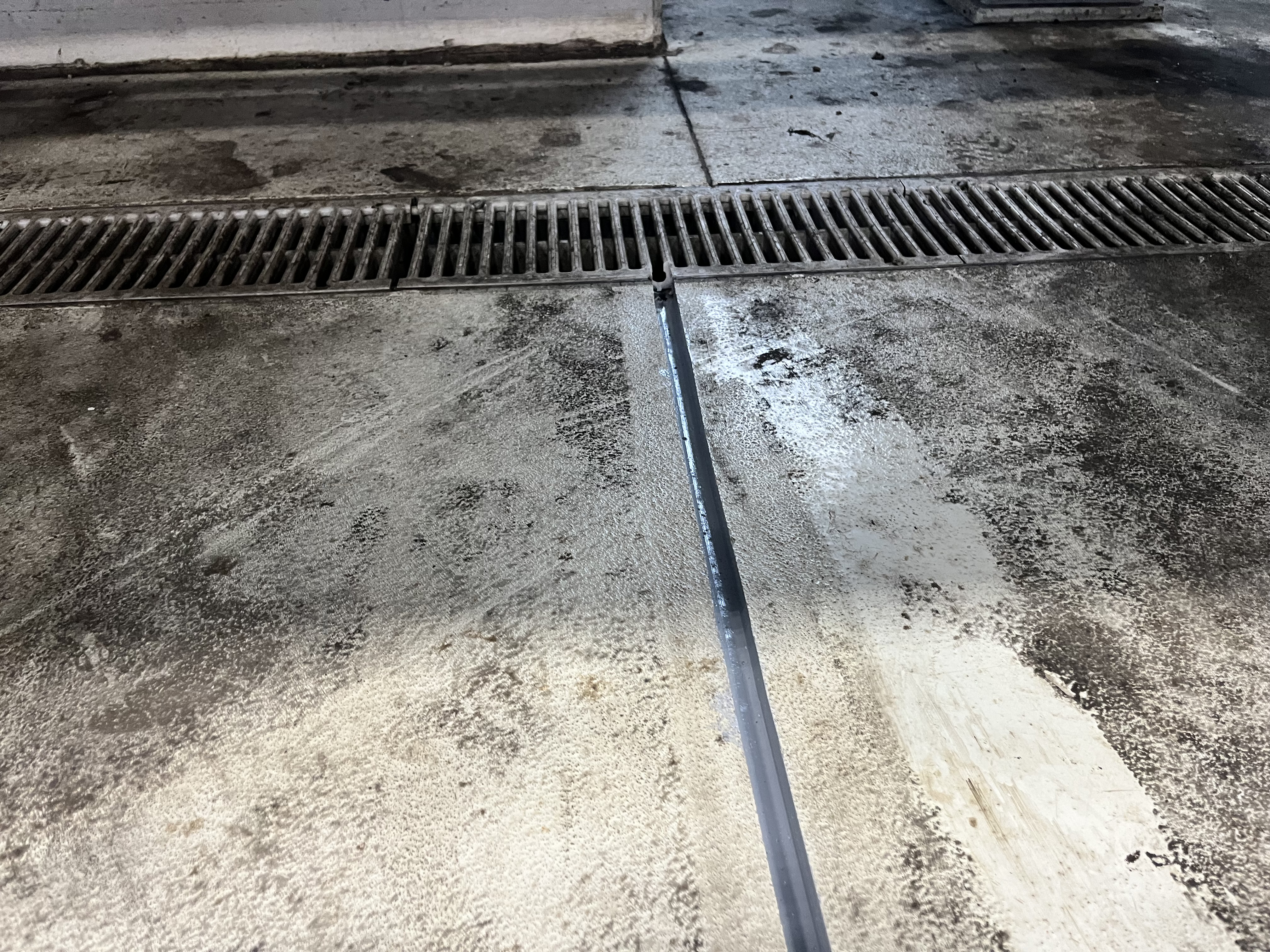 Drazky pre dovodnenie.jpeg